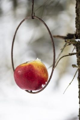 Colgador de Manzana