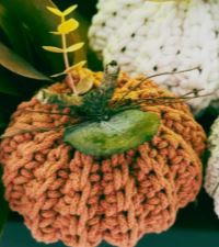 Taller Calabazas de Crochet