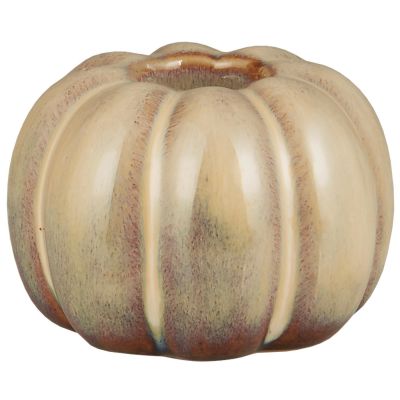 POrtavela calabaza